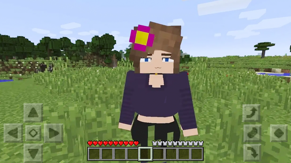 Zrzut ekranu Jenny Mod Minecraft